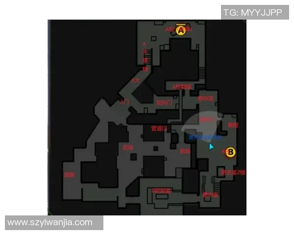 成都羽毛球队阵地战打法深度解析与战术优势剖析