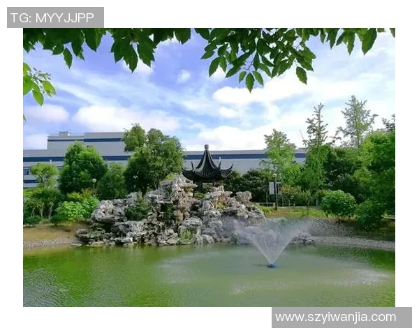 南京排球队的辉煌之路：从默默无闻到大师赛的荣耀时刻